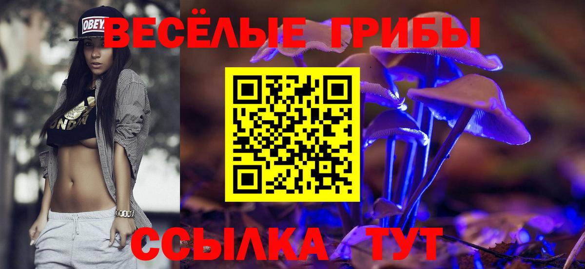 Псилоцибиновые грибы GOLDEN TEACHER Новозыбков